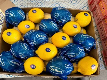 Доставка лимонов из Китая